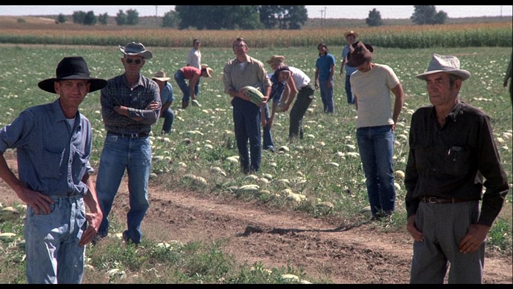 マジェスティックの画像