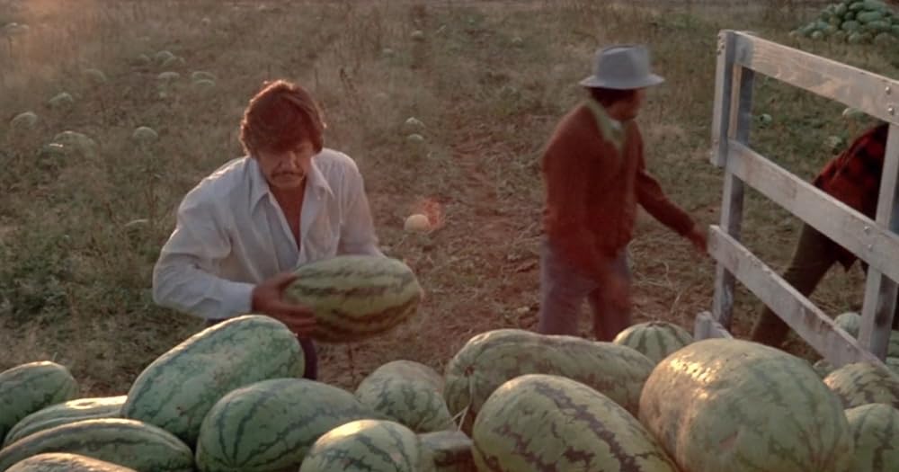 「マジェスティック」チャールズ・ブロンソンの画像