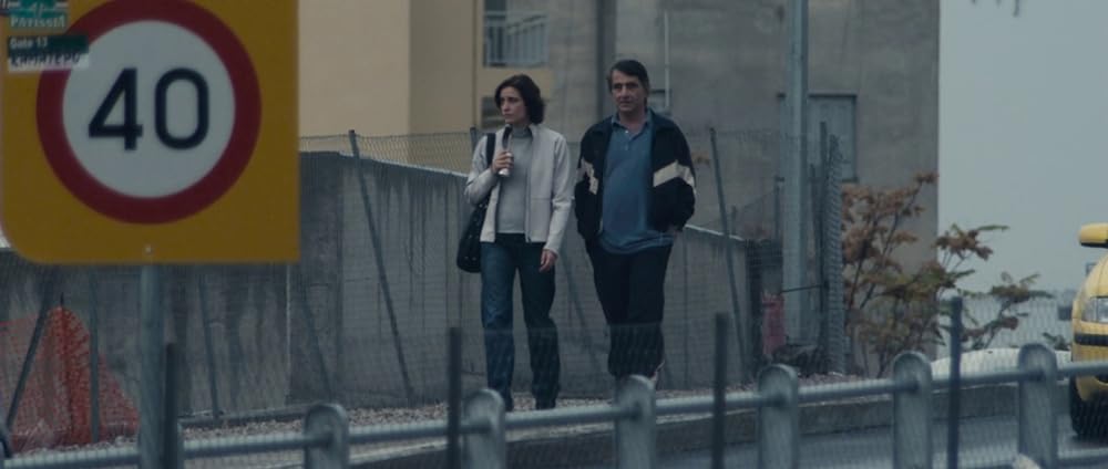 アルプスの画像