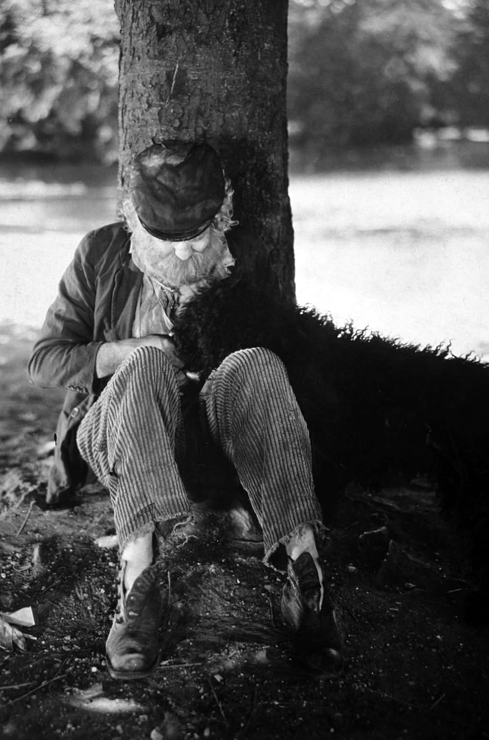 素晴らしき放浪者の画像