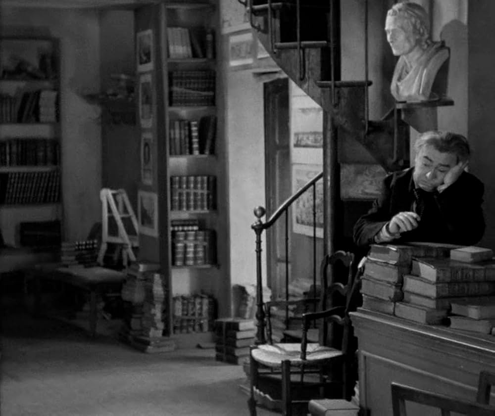 素晴らしき放浪者の画像