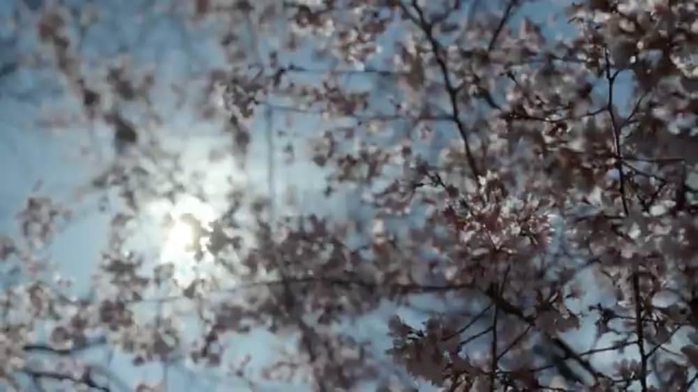 17 Blocks／家族の風景の画像