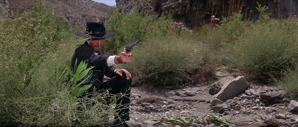 ガンマン無頼の画像