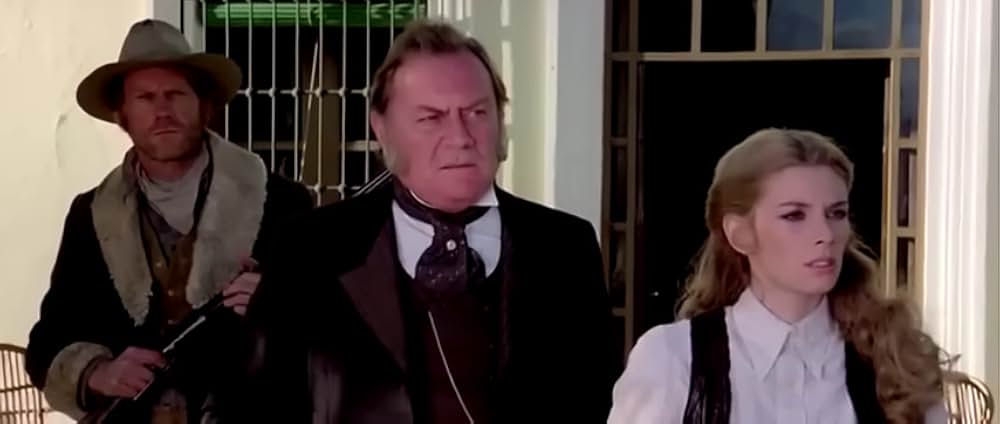 シルバー・サドル 新・復讐の用心棒の画像