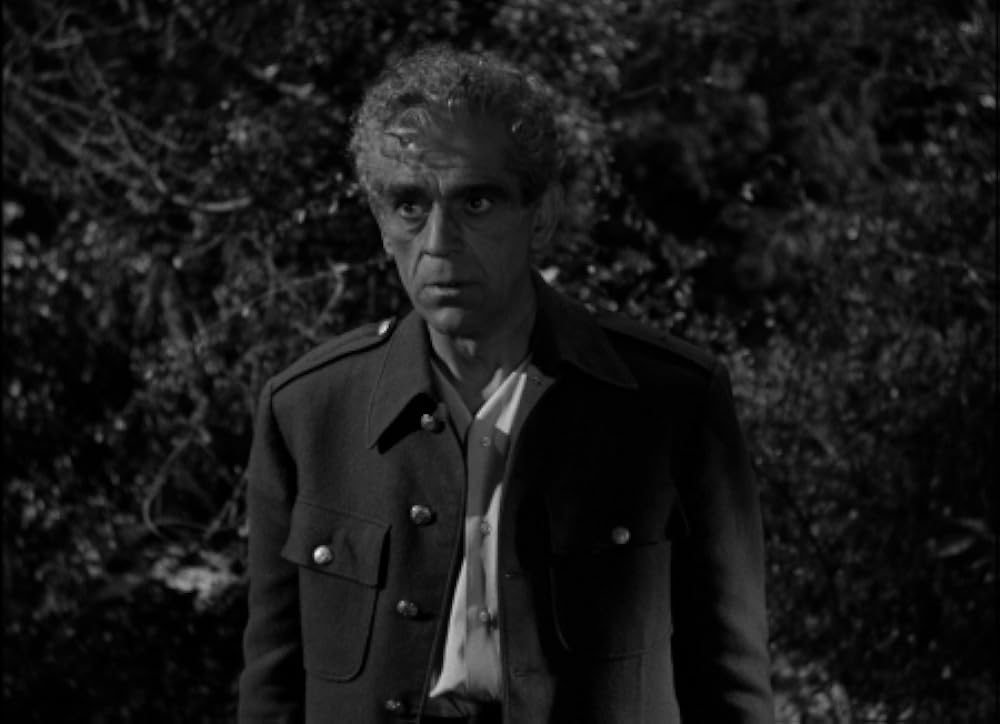 吸血鬼ボボラカの画像