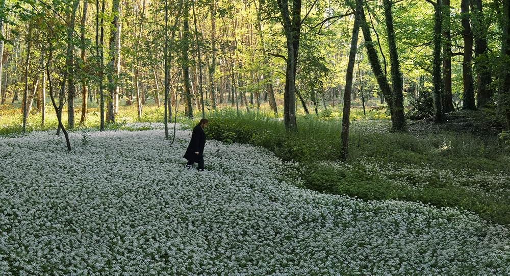 ポトフ 美食家と料理人の画像