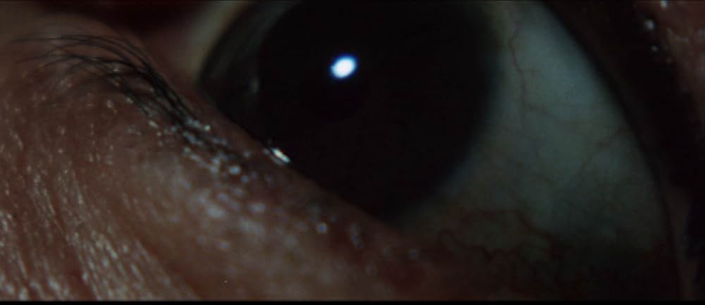 五人の賞金稼ぎの画像