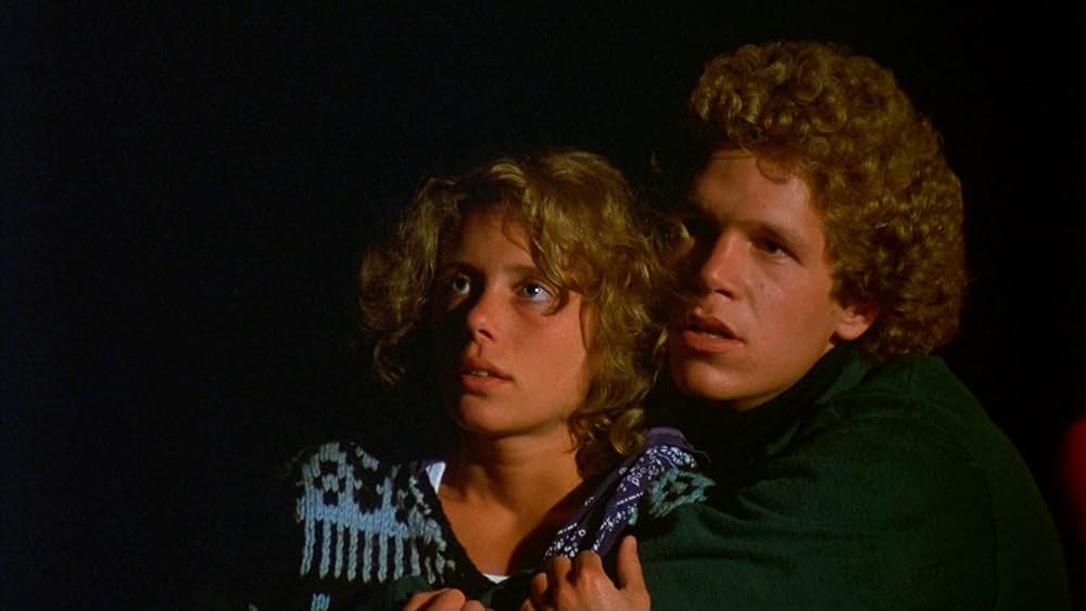 ミートボールの画像