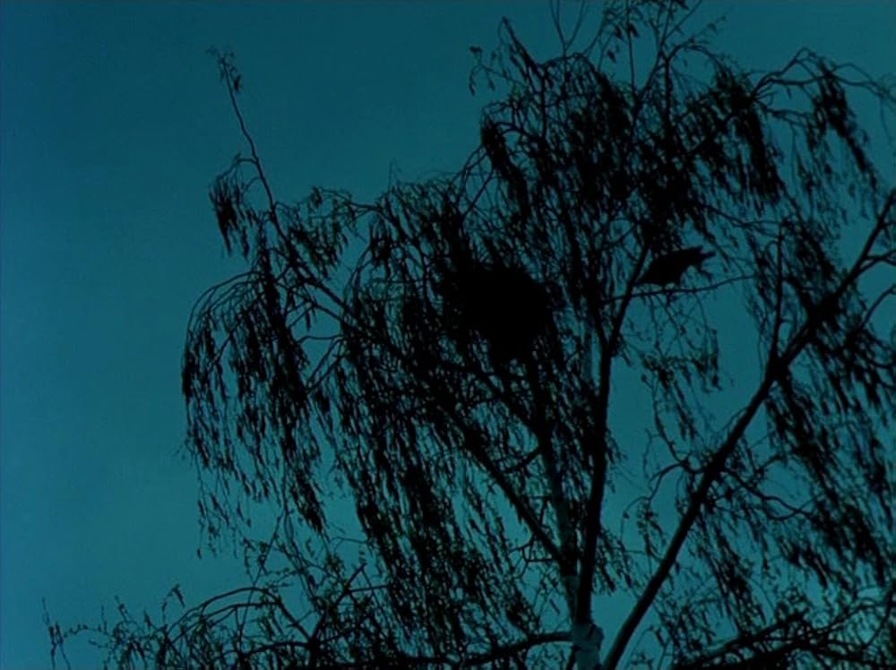 アワーミュージックの画像