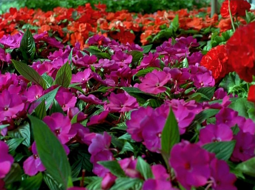 アワーミュージックの画像