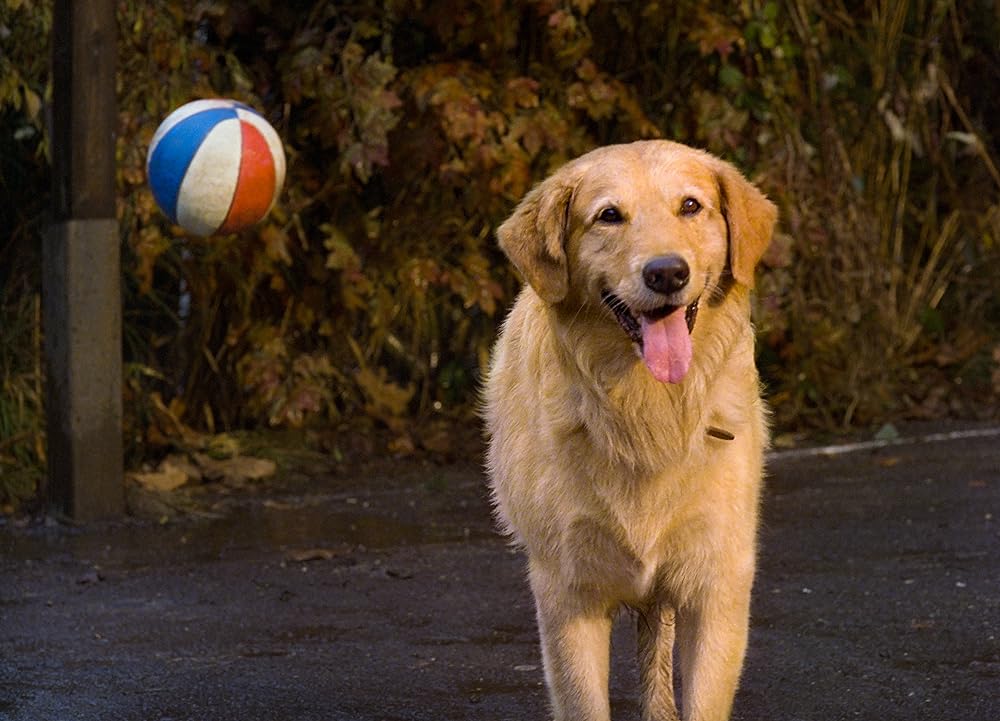 エア・バディの画像