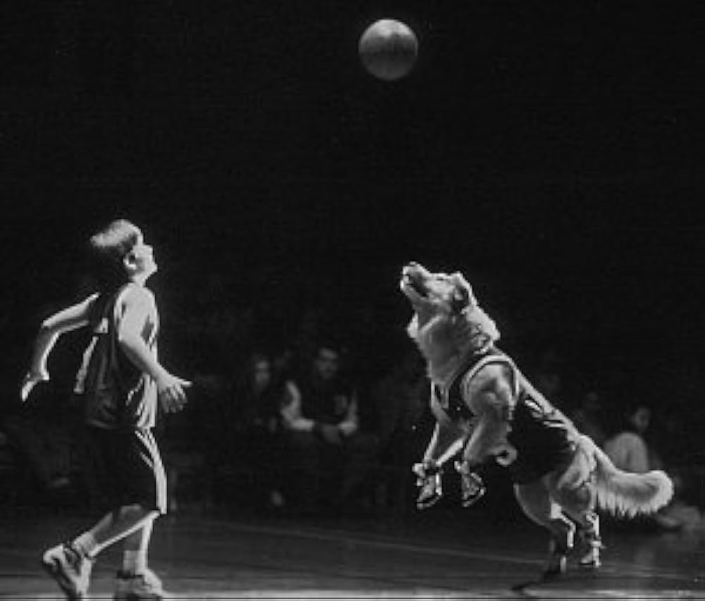 エア・バディの画像