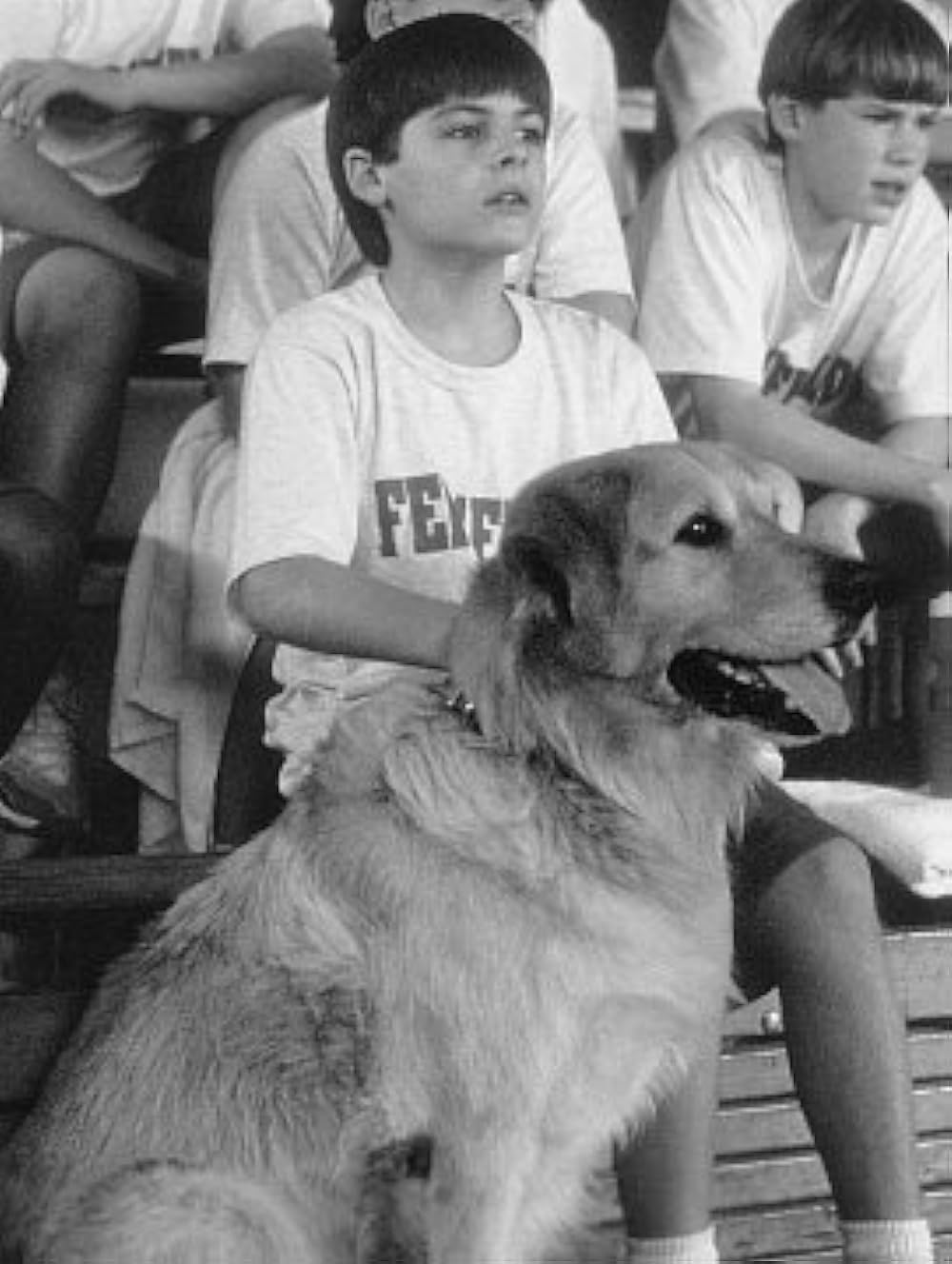 エア・バディの画像