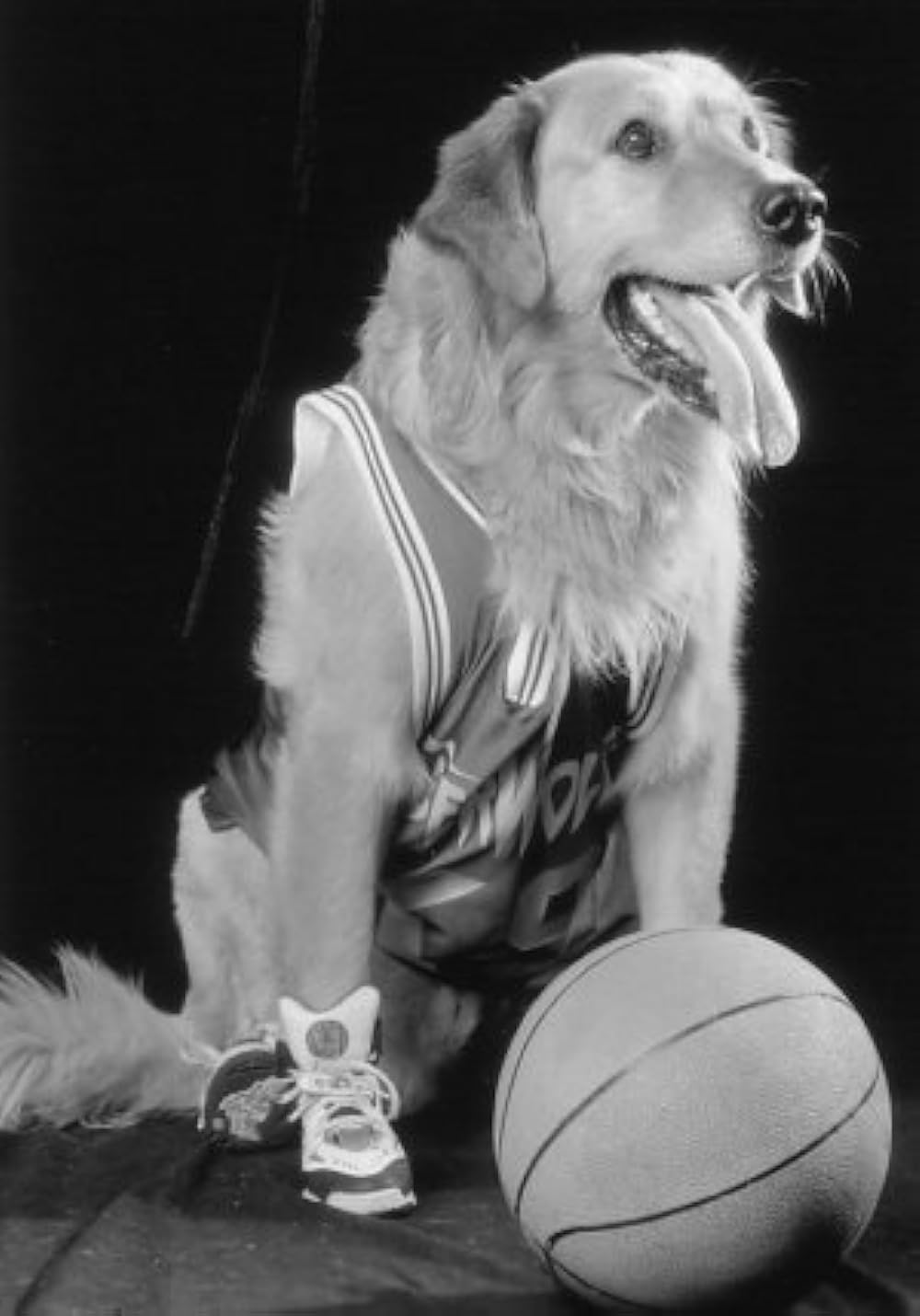 エア・バディの画像