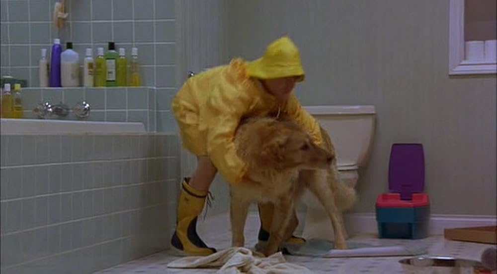 エア・バディの画像