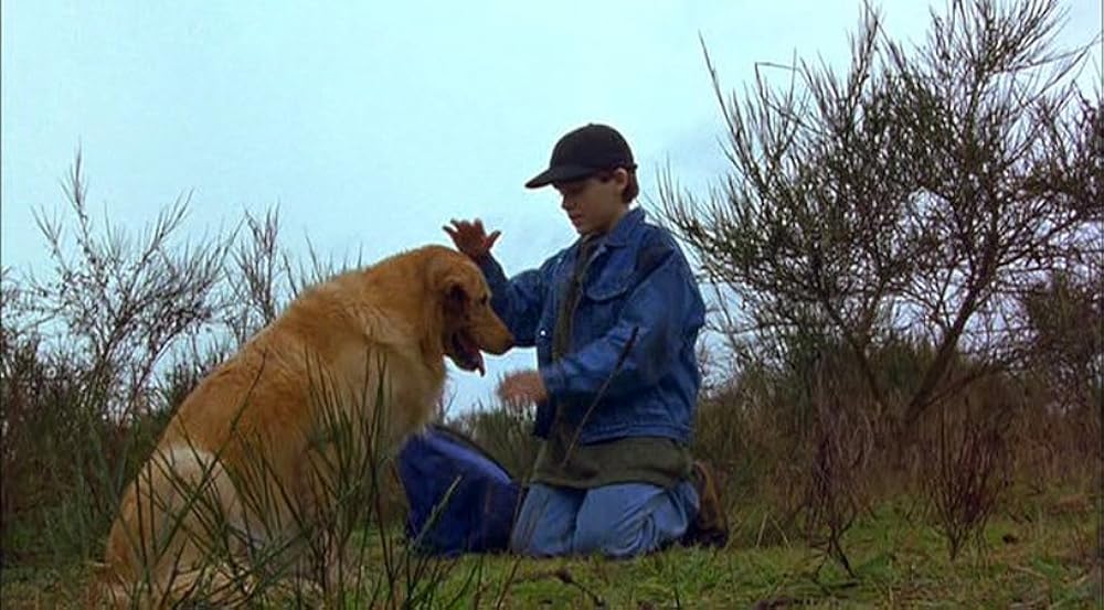 エア・バディの画像