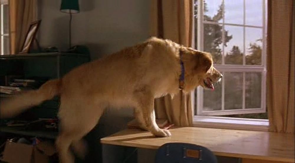 エア・バディの画像