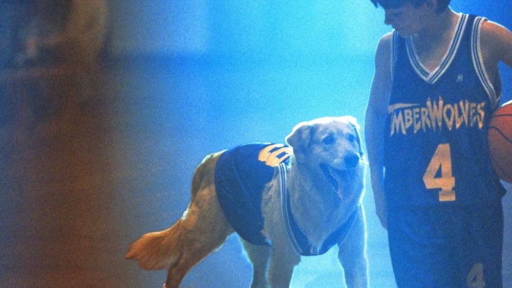 エア・バディの画像