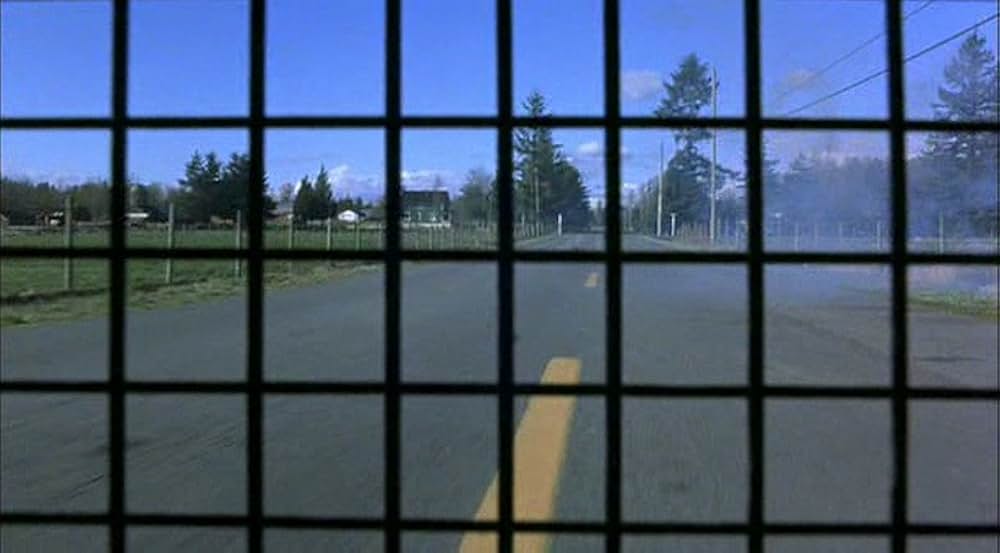 エア・バディの画像