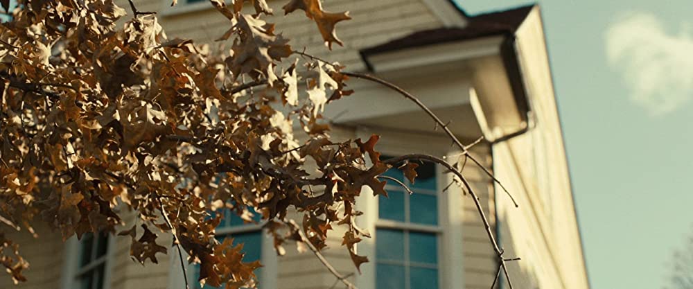 「スケルトン・ツインズ 幸せな人生のはじめ方」の画像