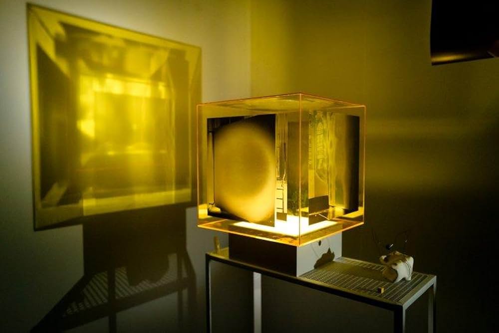 「ラガーン」の画像