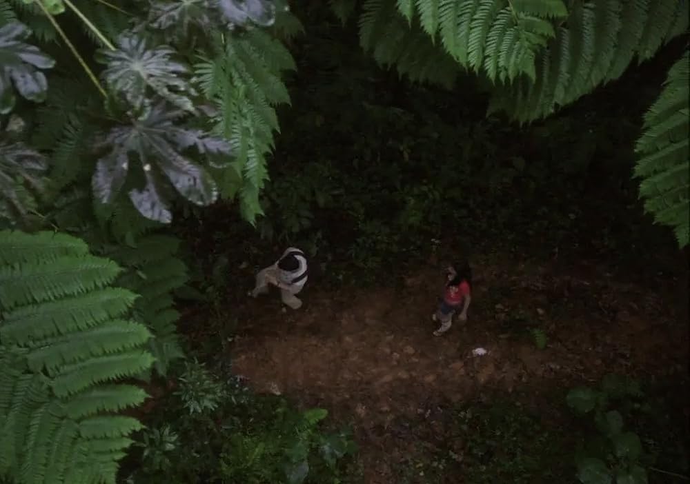 ウェイバリー通りのウィザードたち ザ・ムービーの画像