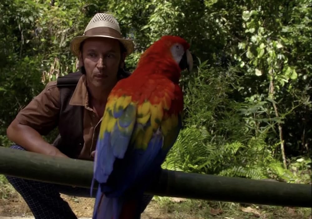 ウェイバリー通りのウィザードたち ザ・ムービーの画像