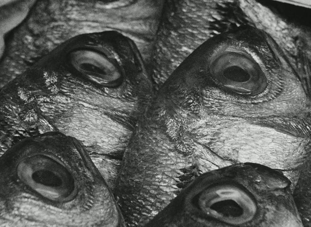 オペラ・ムッフの画像