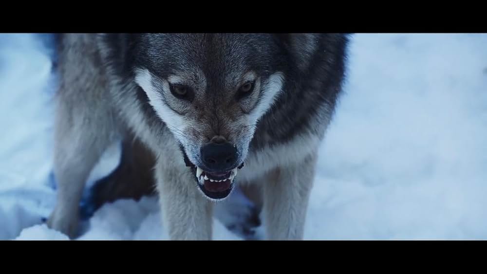 「タイガー 甦る伝説のスパイ」の画像