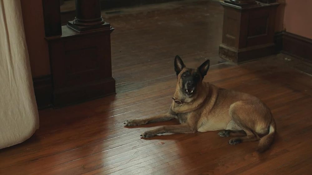 ガール・オン・ザ・サード・フロアの画像