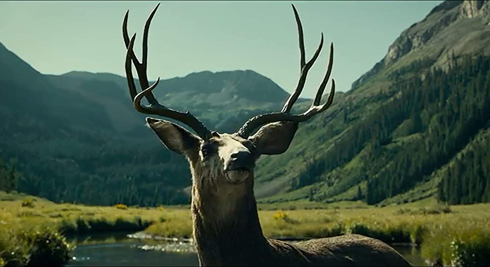 バスターのバラードの画像