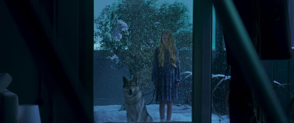 インサイドの画像