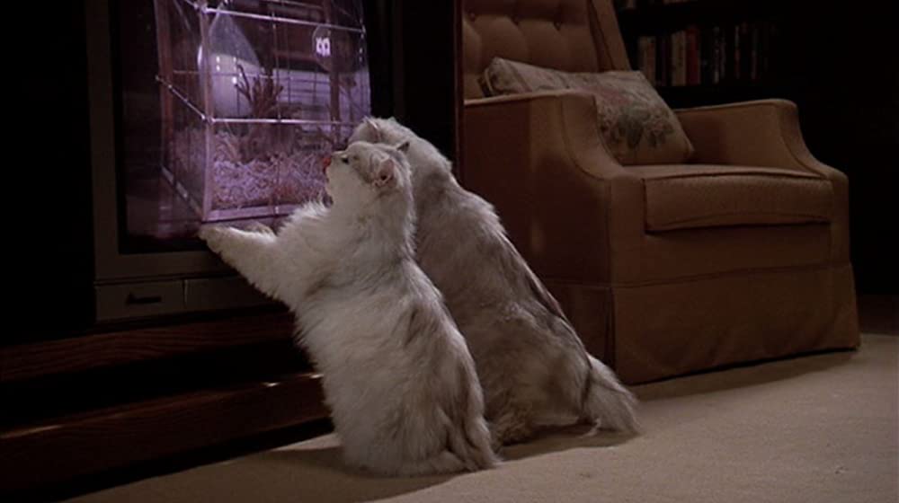 3人のゴーストの画像