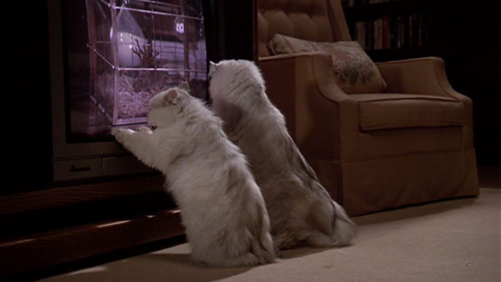 3人のゴーストの画像