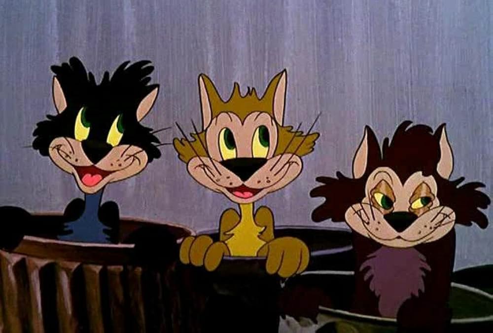 子ねこのフィガロの画像