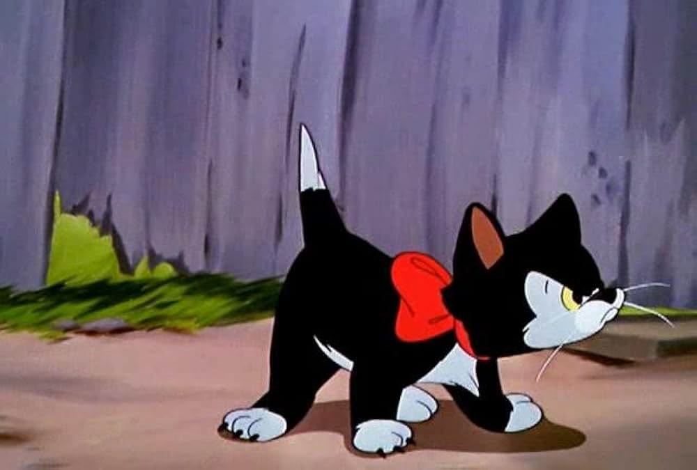 子ねこのフィガロの画像