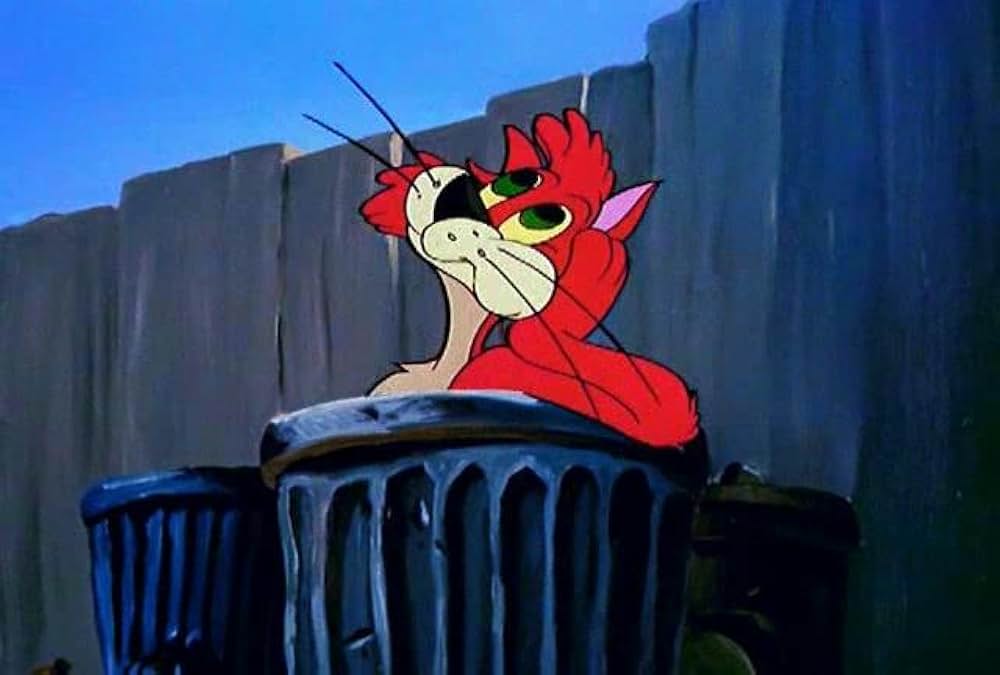 子ねこのフィガロの画像