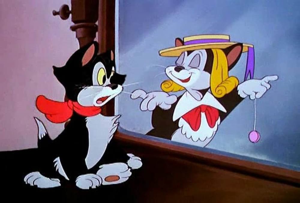 子ねこのフィガロの画像