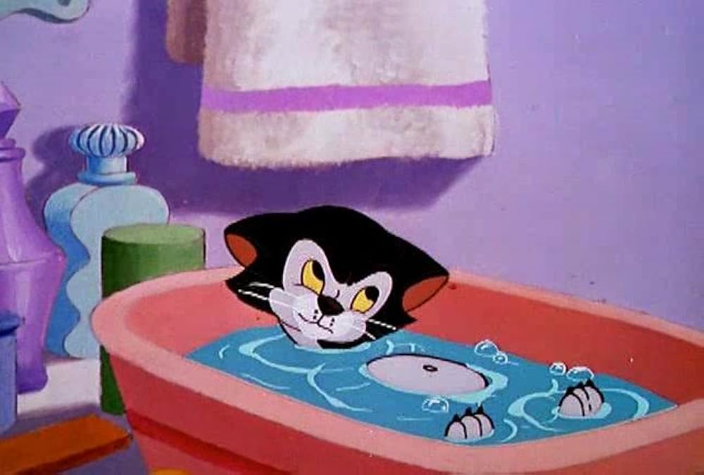 子ねこのフィガロの画像