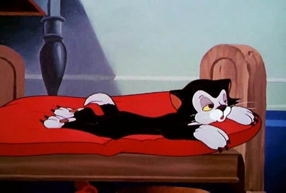 子ねこのフィガロの画像