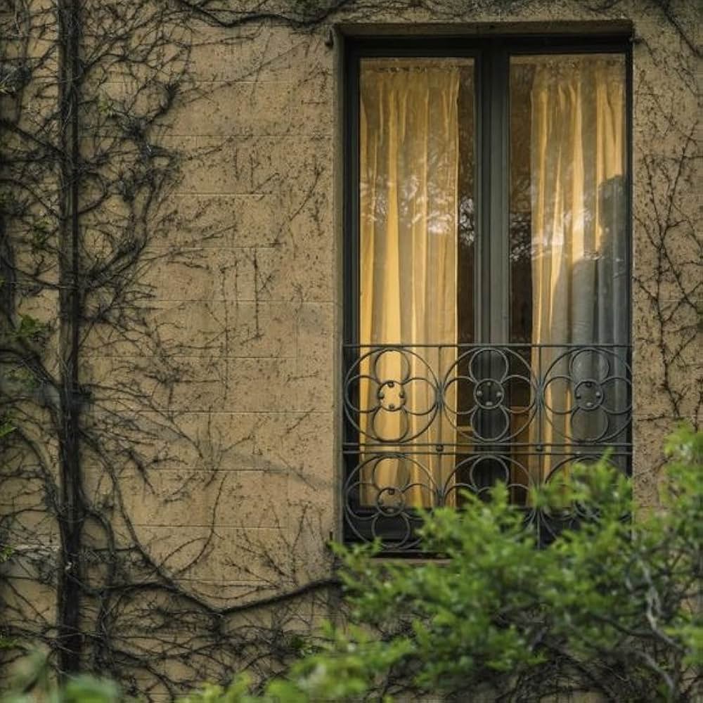 スルー・マイ・ウィンドウの画像