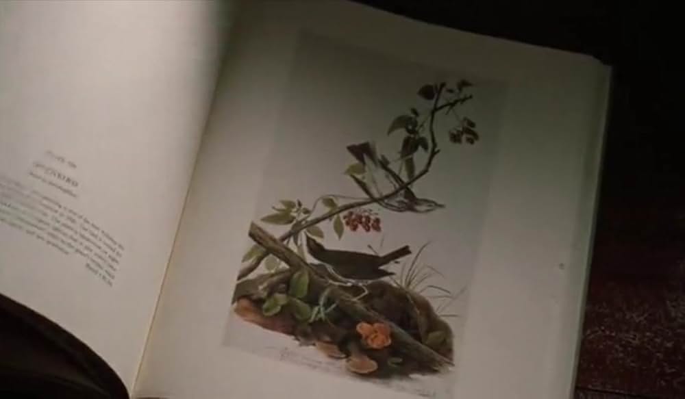 ビートルジュースの画像