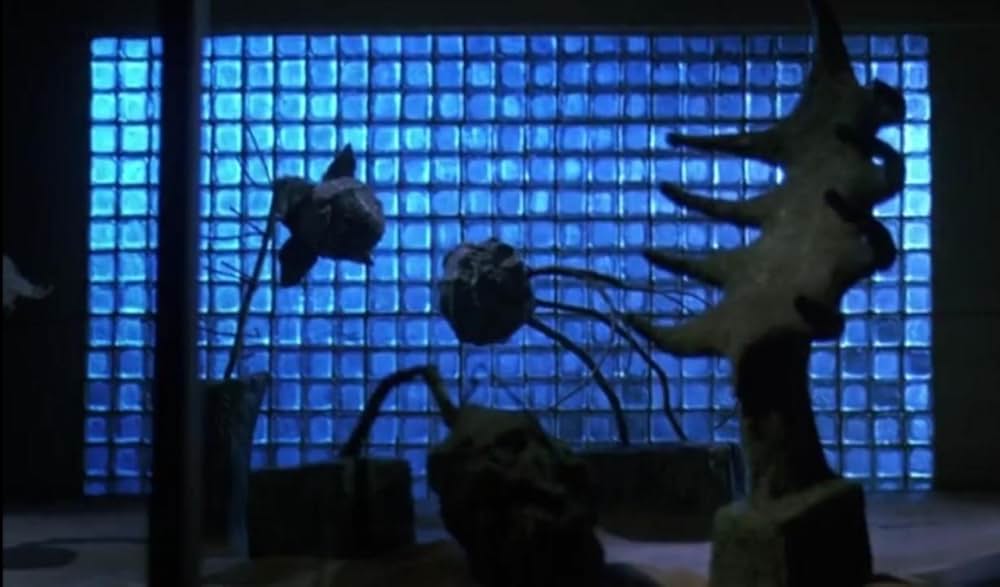 ビートルジュースの画像