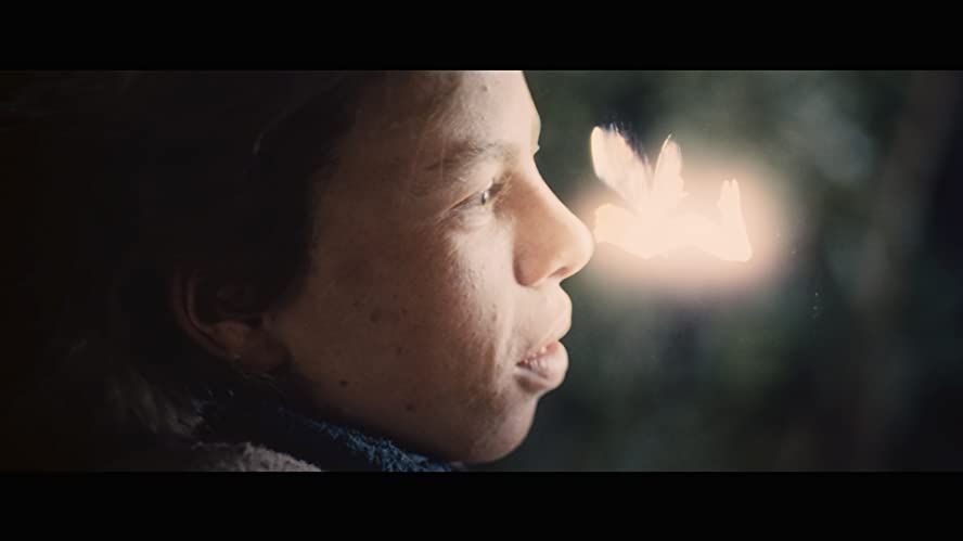 ウィローの画像