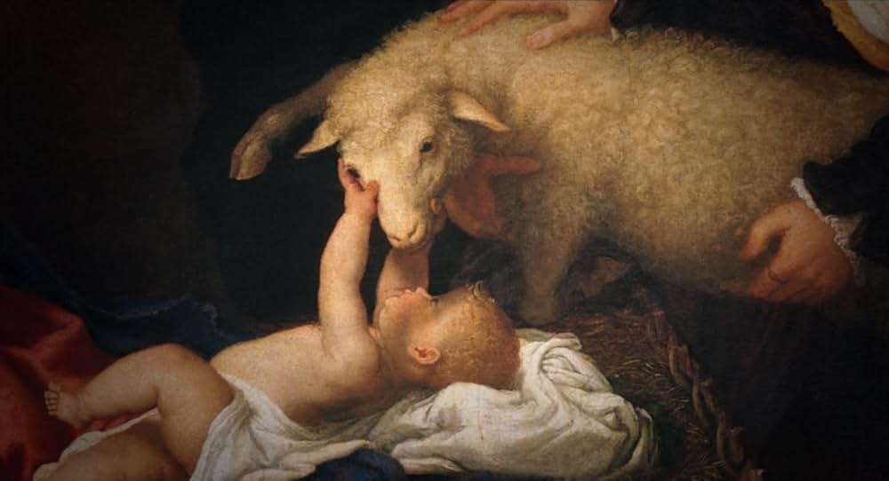 ミスター･ロジャースのご近所さんになろうの画像