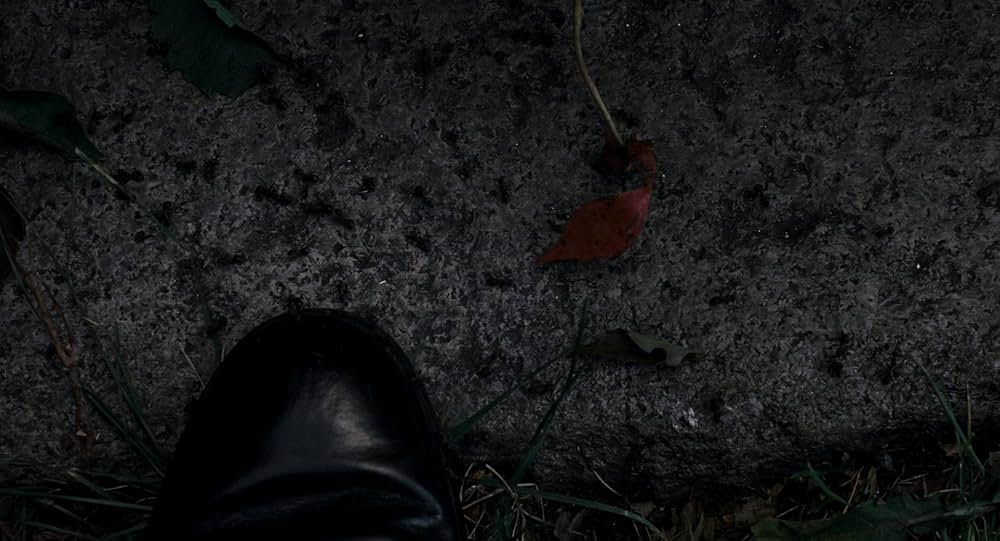 リプライズの画像