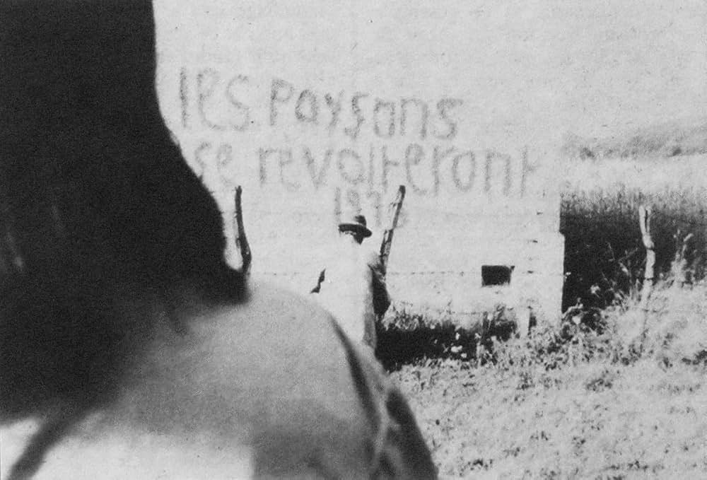 早すぎる、遅すぎる、の画像