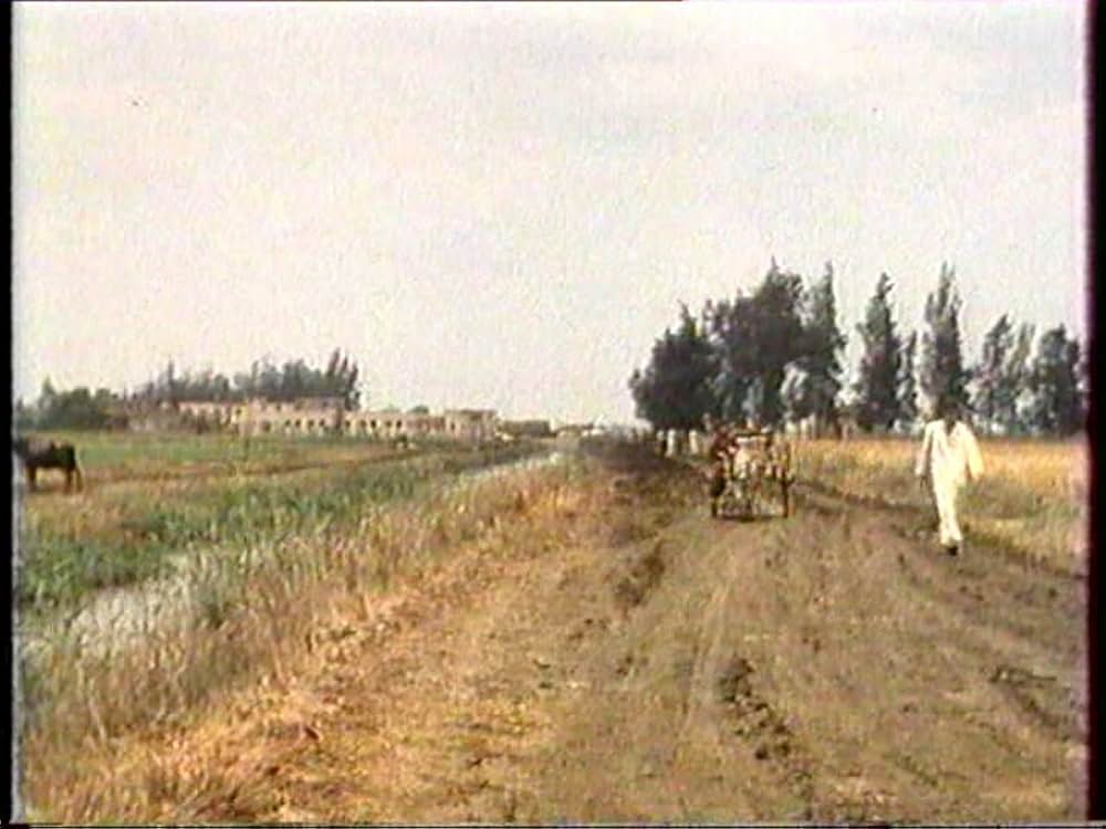 早すぎる、遅すぎる、の画像