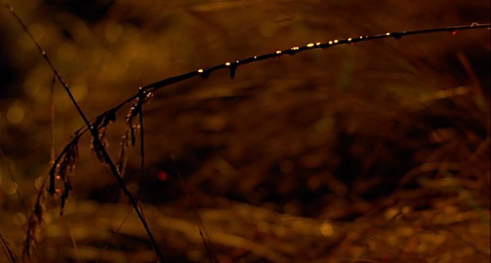 ガーゴイルの画像