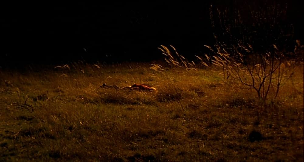 ガーゴイルの画像